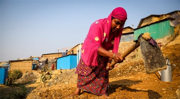 FAO aid appeal to support Rohingya refugees and host communities in Bangladesh 